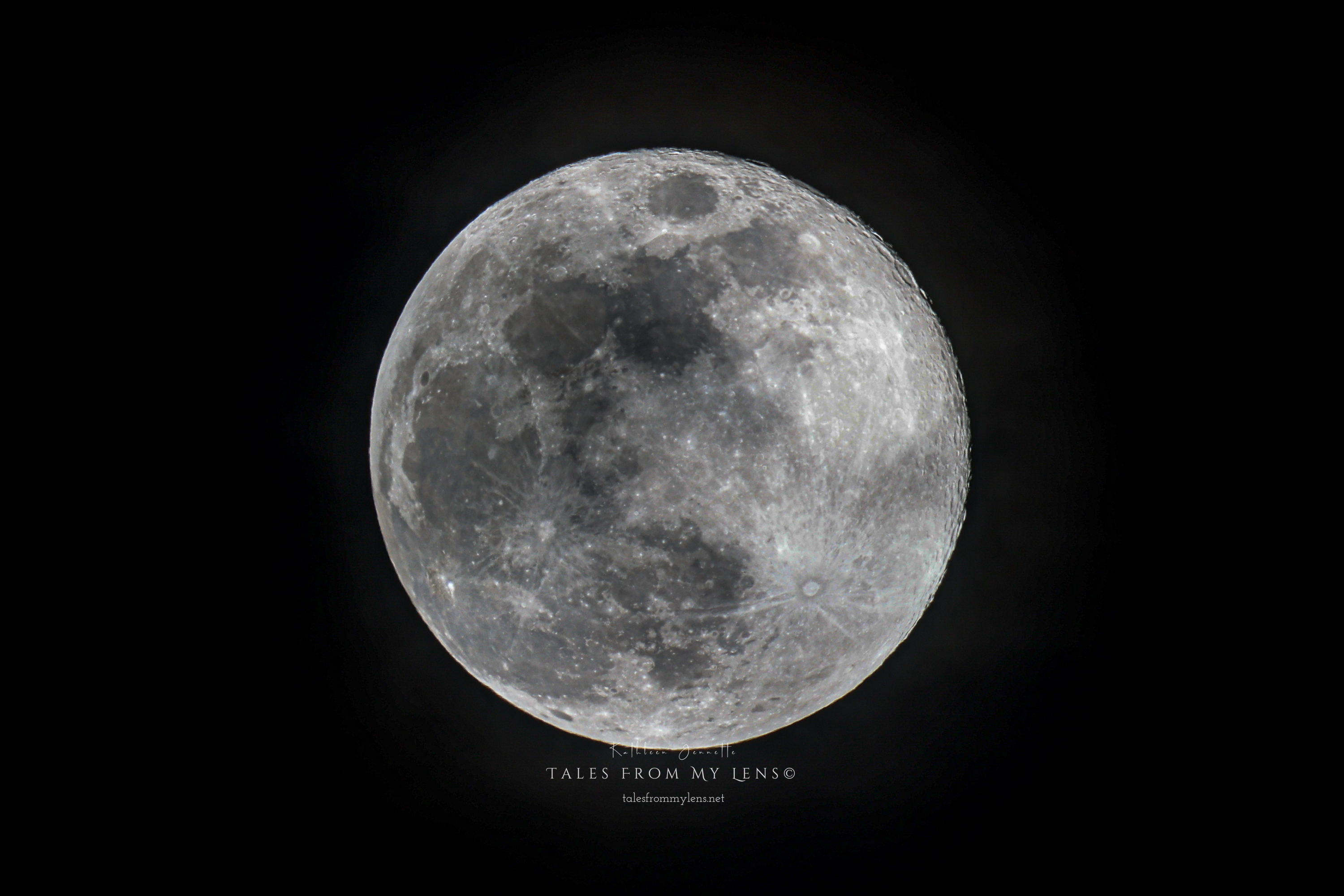 ~The Beaver Moon~