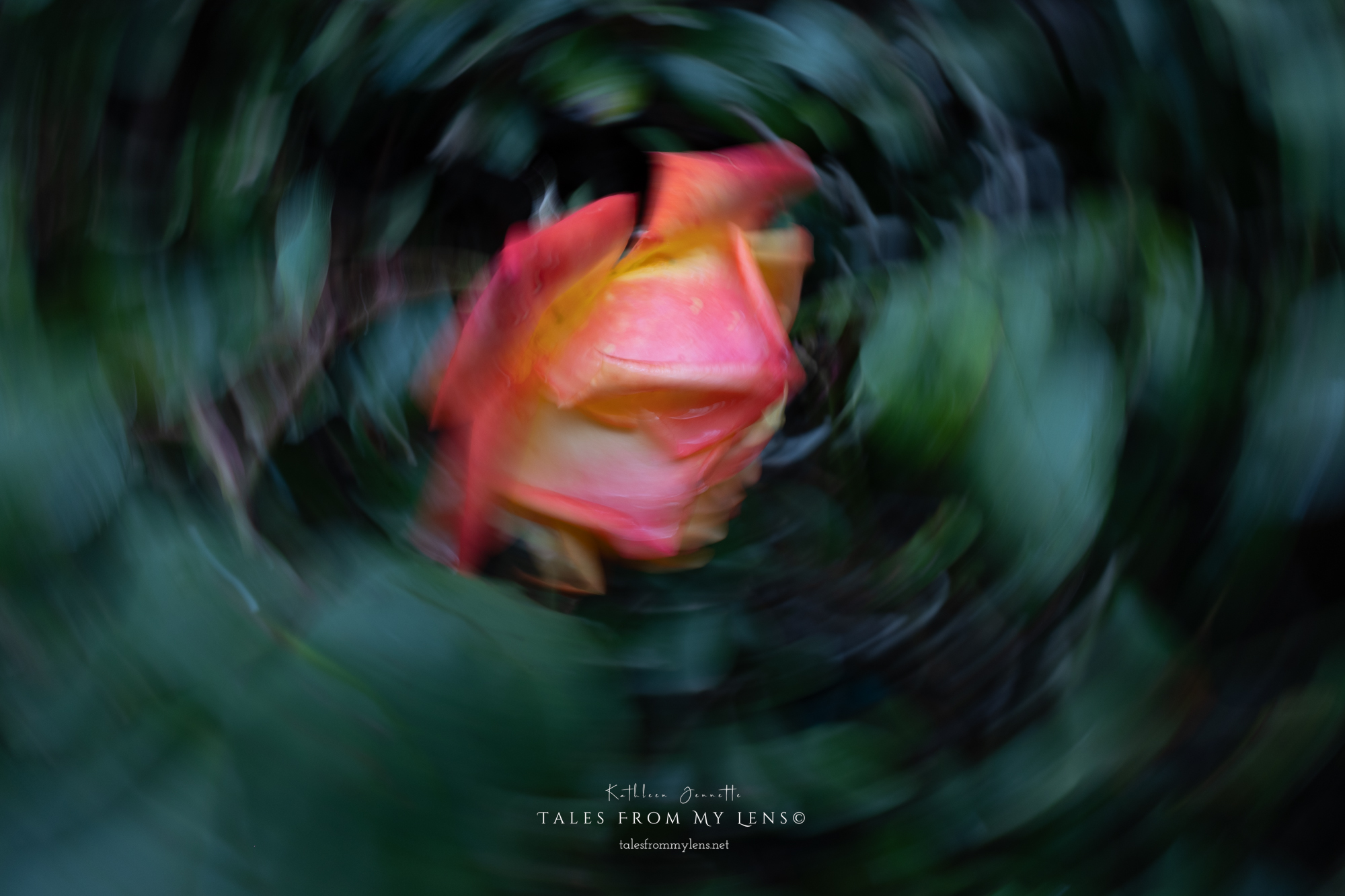 ~ICMPC #1 ~ February