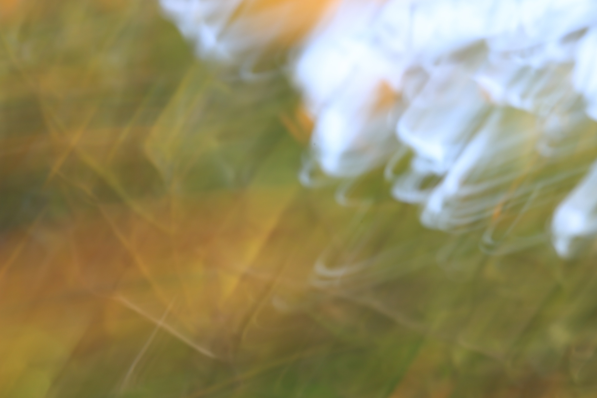 ~ICMPC #12 – January 16, 2025~