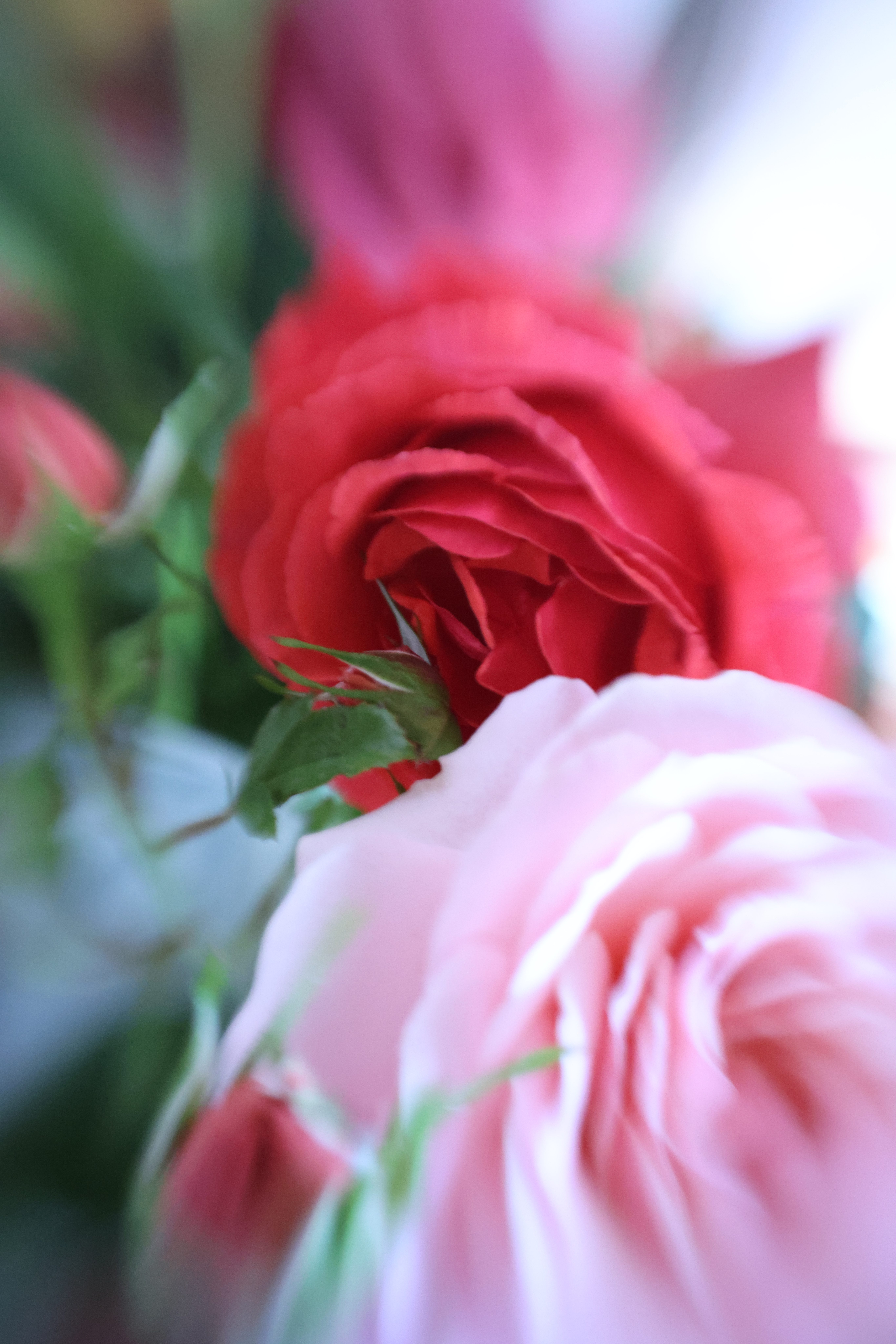 ~Flowers For The Day~